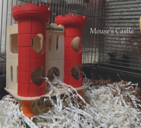 Mouse's Castle